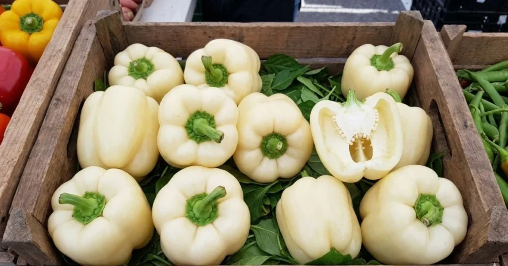 White Bell Peppers